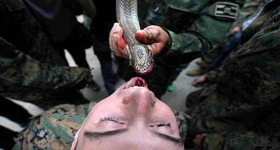 فيديو مروع لجنود يتناولون دماء ثعابين ويأكلون السحالي