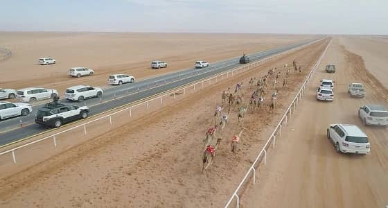 عضو مجلس الشورى يُطالب بِبَثّ فعاليات مهرجان الملك عبد العزيز للعالم أجمع