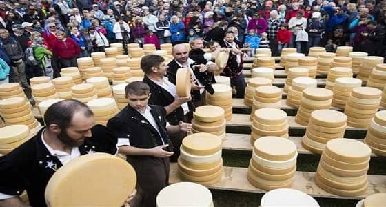 دراسة حديثة: الجبن يحمي من أمراض القلب والسكتات الدماغية