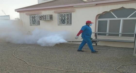 بالصور.. حملة للحد من التلوث ومكافحة الحشرات بنجران