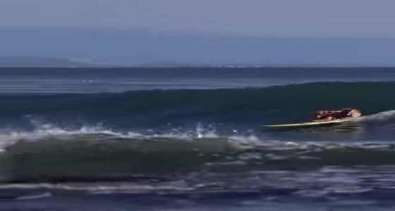 بالفيديو.. كلبة تثير ذهول المتابعين بمهاراتها في ركوب الأمواج