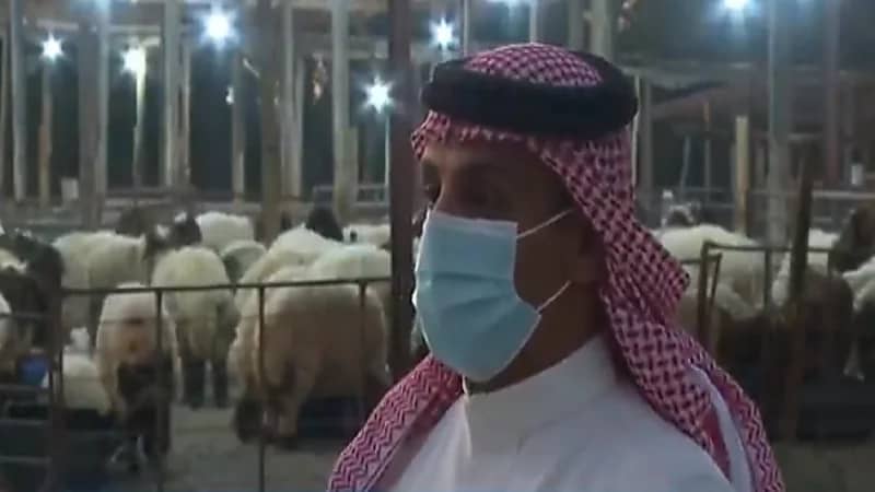 بالفيديو.. سرقات وسوء نظافة وسيطرة عمالة بسوق مواشي الثقبة