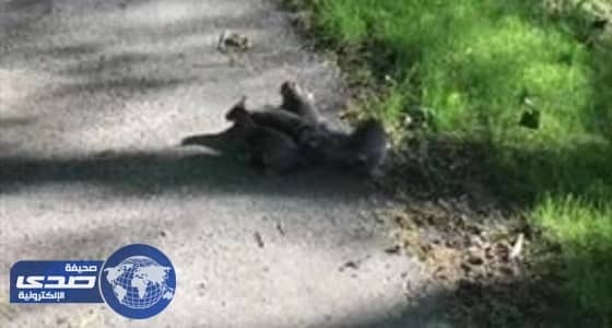 فودافون تكشف أسباب خروجها من قطر