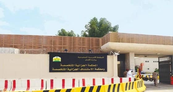 السجن 12 سنة بحق مواطن أيد " داعش "