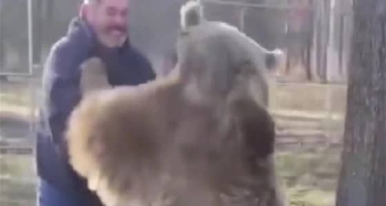 بالفيديو.. رجل يلعب استغماية مع دبين في الغابة