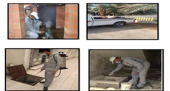 تنفيذ برامج الإصحاح وتفقد 16 ألف منزلا خلال الربع سنة الأول بالمدينة