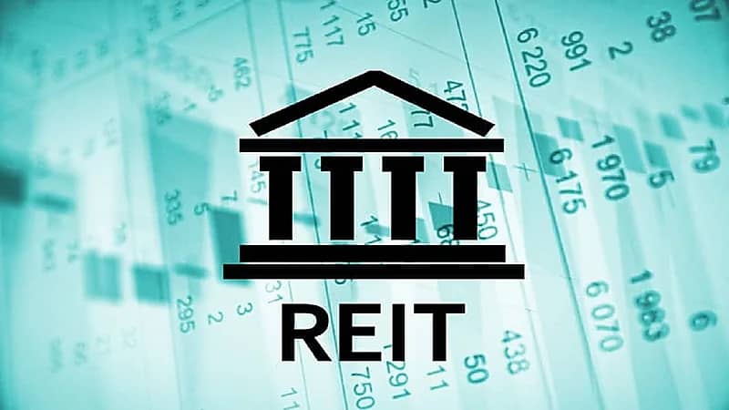 محلل اقتصادي: الريت به فرص واعدة وينتظر خبر إيجابي