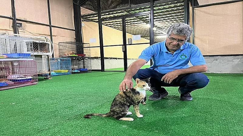 إنشاء جمعية خيرية لنقل الحيوانات الآليفة إلى ملاجئ بالمملكة