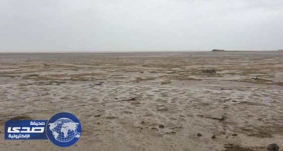 بالفيديو.. إعصار " إيرما " يخفي بحر الباهاما في كلفورنيا