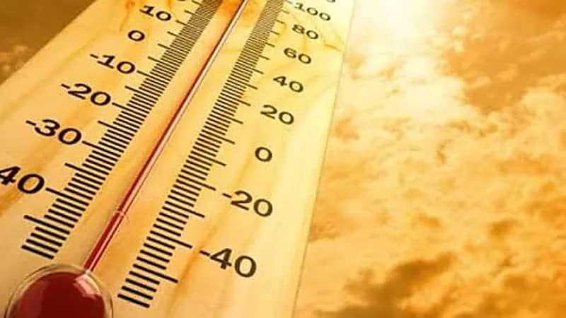 أسباب موجة الحر الغير مسبوقة في أوروبا .. فيديو