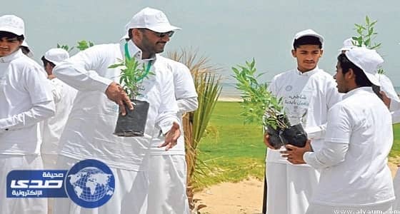 " أمانة الأحساء " تلزم أصحاب المنازل بالتشجير