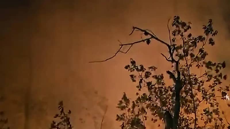 جهود مكثفة لإخماد حرائق ريف اللاذقية وسط تحديات الطبيعة والمخلفات الحربية.. فيديو