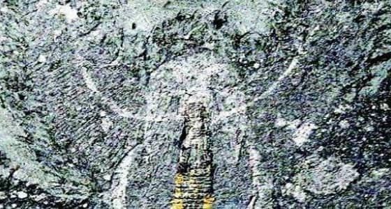 العثور على أدمغة مجمدة منذ نصف مليار سنة