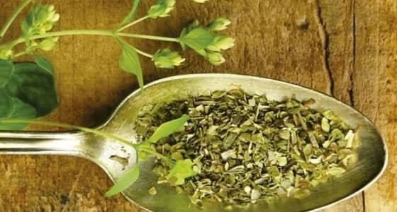 بالفيديو.. الصحة: معالجة السرطان بالأعشاب لا أساس لها