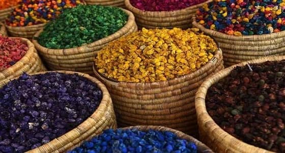 نبتة " الكبار " تجذب آلاف الأجانب للمغرب لهذا السبب