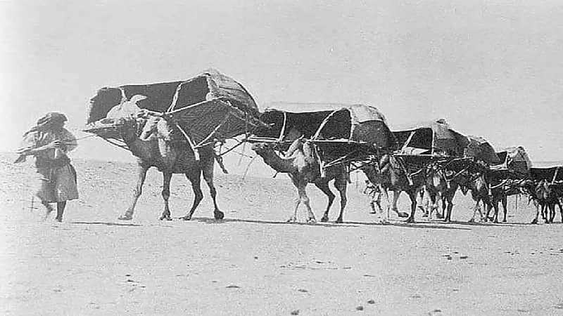 بالفيديو .. قصة أول مواطنة تقود حملات الحج في القصيم