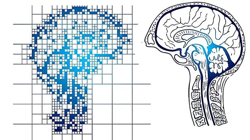 الاختلافات بين الجنسين في تطور مرض الزهايمر