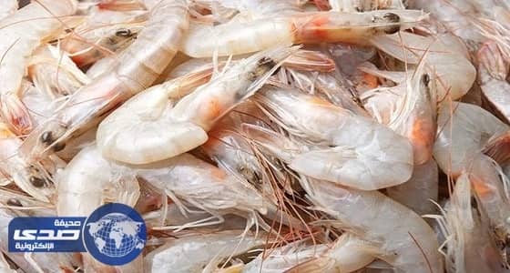 حظر استيراد الروبيان المبرّد والمجمّد من تكساس الأمريكية