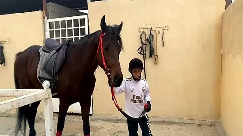 بالفيديو.. طفل يواجه معاناته من مرض الجهاز الهضمي بـ "ركوب الخيل"