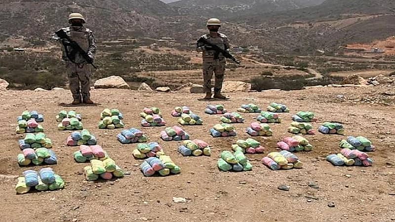 إحباط تهريب 48 كيلو جرامًا من نبات القات المخدر بجازان