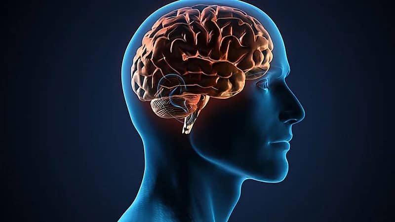 عادات وسلوكيات تضر صحة الدماغ