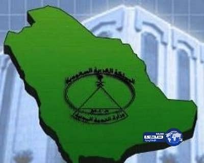 دراسة جديدة حول الولاية للأبناء وأسباب العنف الأسري