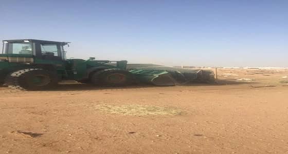 بالصور.. إزالة 13 مسلخ عشوائي و 6 مخيمات و5 حظائر للماشية بالروضة