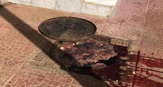 " فيديو " يرصد سيلان دماء الذبائح بفناء مسلخ بلدية تثليث