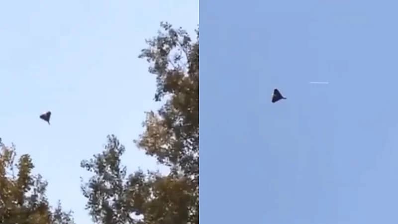 بالفيديو.. محاولات أوكرانية فاشلة لإسقاط طائرة مسيرة روسية