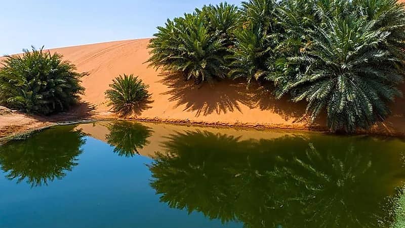 اليونسكو تدرج شمال الرياض وسلمى ضمن شبكة الجيوبارك العالمية