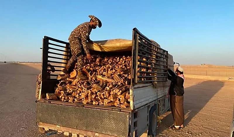 ضبط مخالفًا لنظام البيئة لتخزينه حطبًا محليًا في رماح