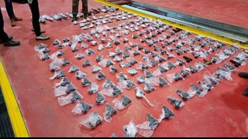 إسرائيل توقف نائيا أردنيا بتهمة تهريب السلاح لفلسطين