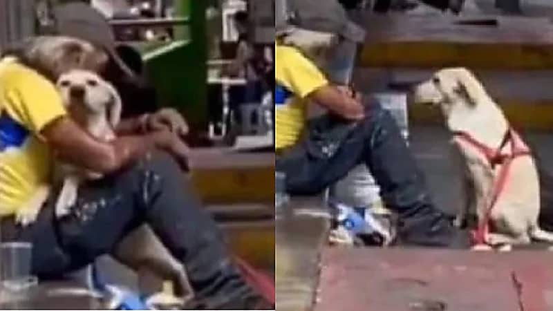 شاهد.. كلب يحتضن مشردا وسط الشارع