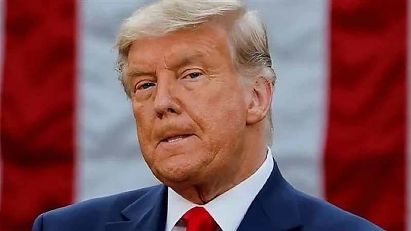 ابنة شقيق دونالد ترامب تهاجم عمها وتصفه بـ "الفاشل"