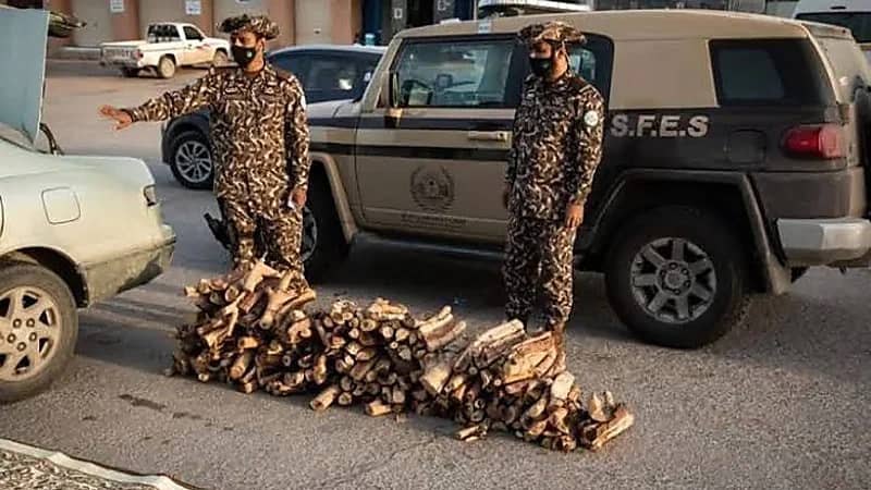 الإطاحة بمخالف لاستخدامه حطب محلي في أنشطة تجارية