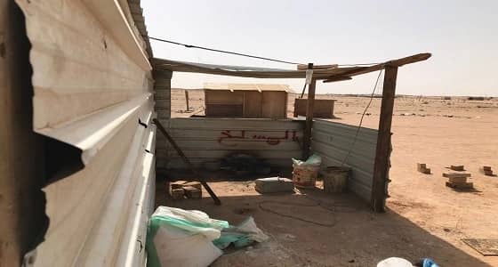 بالصور.. إزالة 19 مسلخا مخالفا في الرياض