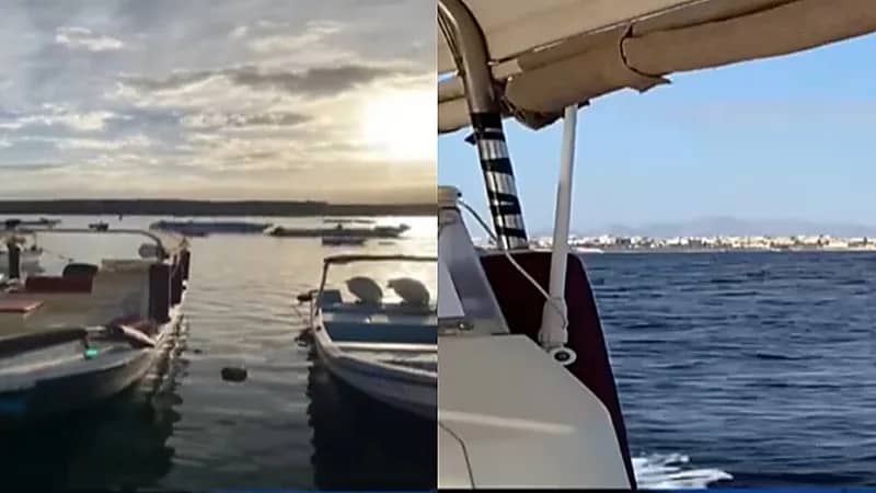 سحر الطبيعة بضفاف مدينة الوجه في قلب البحر الأحمر يمتدّ من عمق البحر إلى عمق القلب.. فيديو