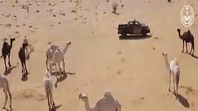 بالفيديو.. ضبط 39 مخالفًا لنظام البيئة خلال أسبوع