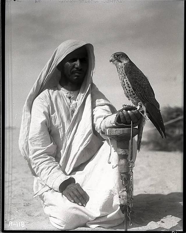 صورة رائعة لصقار وصقره قبل 87 عام