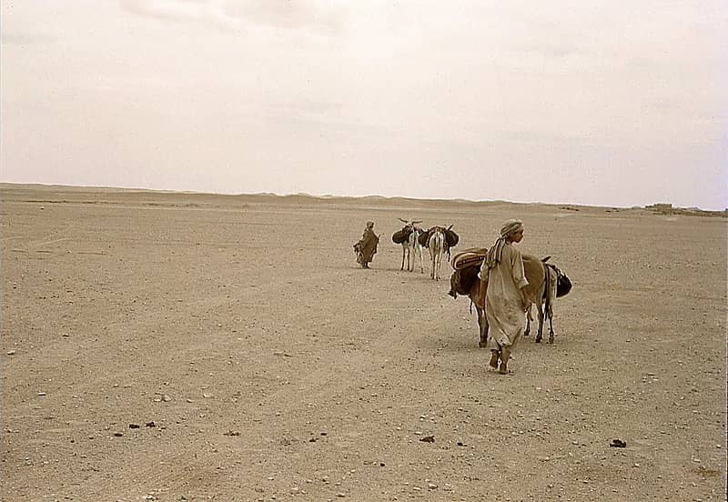 صورة قديمة من بادية نجد