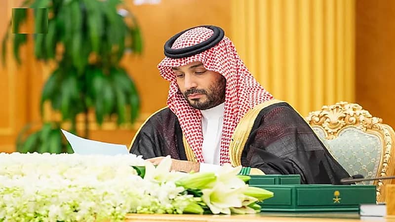 تفاصيل قرارات مجلس الوزراء