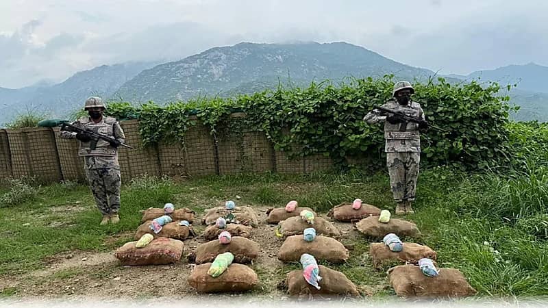 إحباط تهريب 298 كيلوجرام من القات بجازان