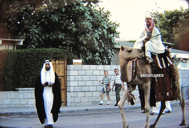 صورة رائعة ونادرة جدا لجمل في سكن أرامكو