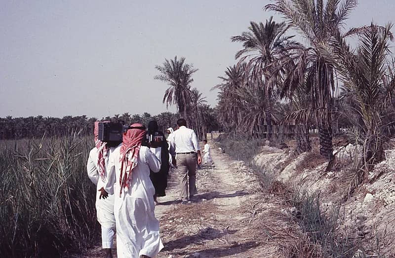 جولة في مزارع القطيف قبل 40 عام