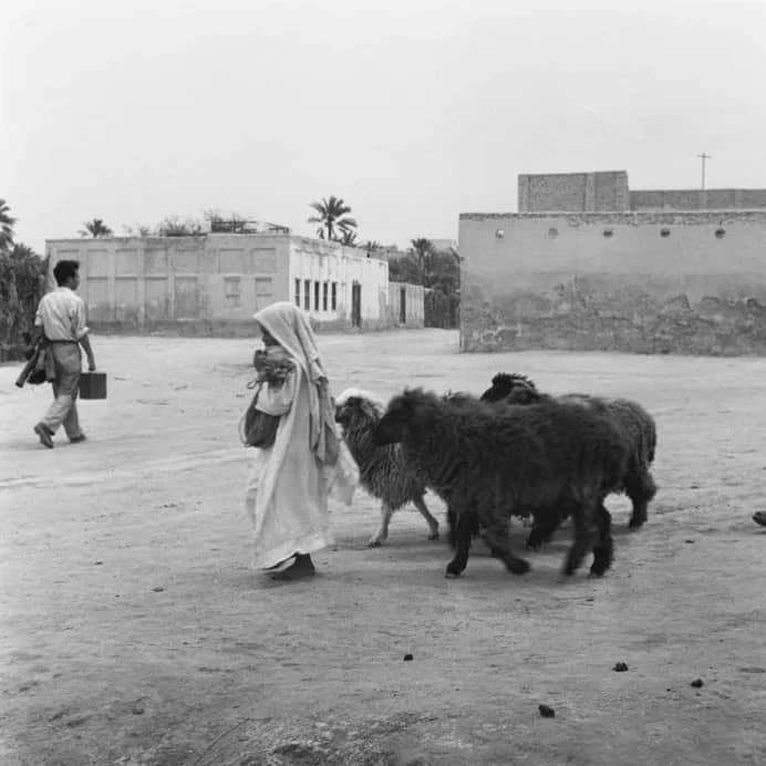 صورة مليئة بالتفاصيل الجميلة