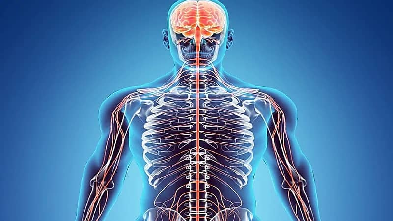 أعراض شائعة تنذر بإصابة الرجل والمرأة بفيروس الورم الحليمي البشري