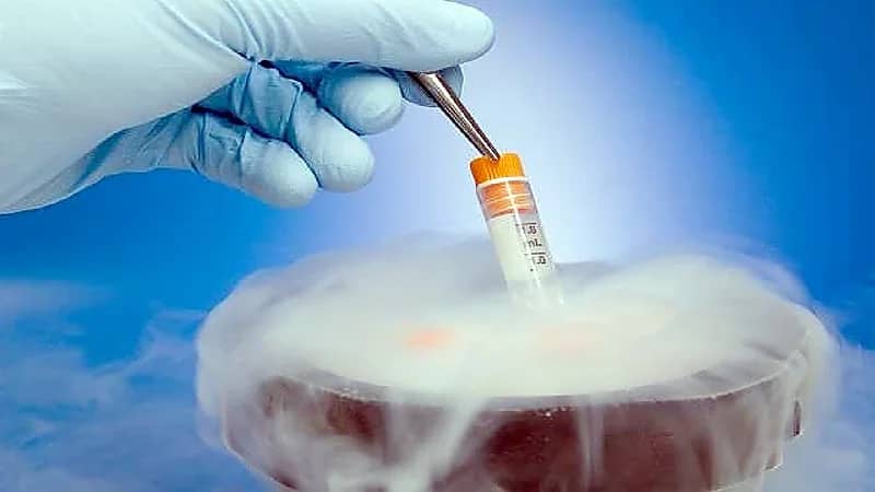 بالفيديو.. مستشار أبرز الضوابط الشرعية لتجميد البويضات