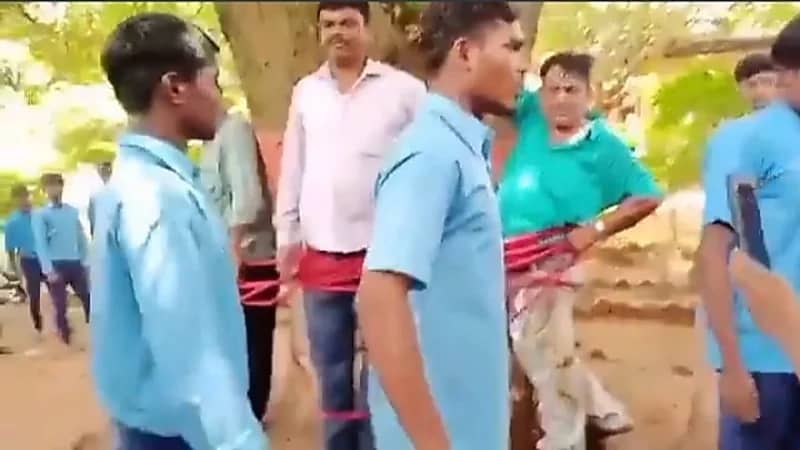 شاهد.. طلاب يربطون مدرسهم في شجرة مانجو بعد رسوبهم