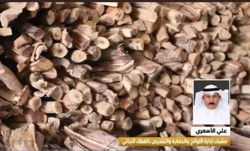 مختص ينصح بشراء الحطب والفحم المستورد والابتعاد عن المحلي