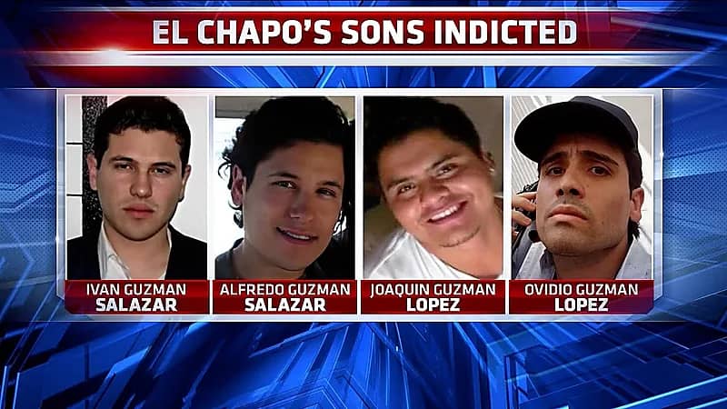 أبناء بارون المخدرات يتخلصون من أعدائهم يتقديمهم لنمور شرسة